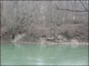 My Gallery: Image